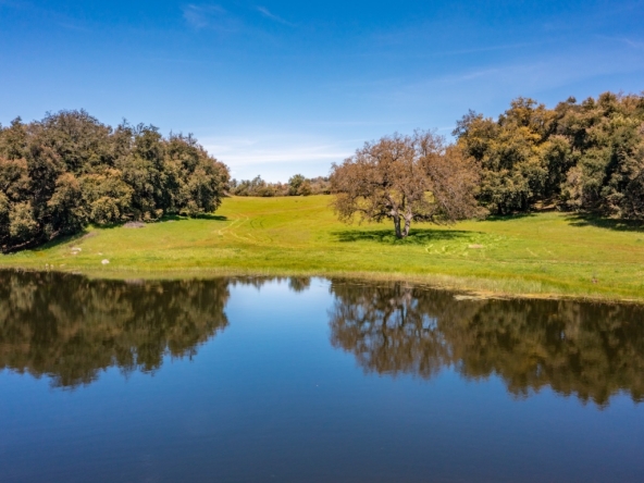 Ranch For Sale