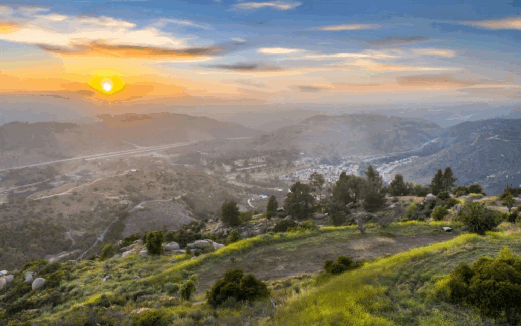 escondido real estate